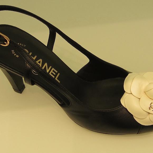 Meet your Posher, Tia - Picture 4 of 8